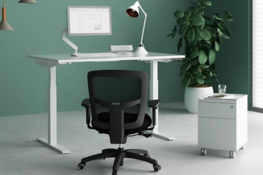  Buy all kinds of Comfortable Office Chair + price 