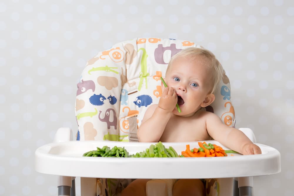  baby plastic dining chair | Buy at a cheap price 