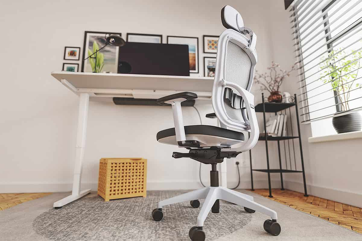  modernized office chair | buy at a cheap price 