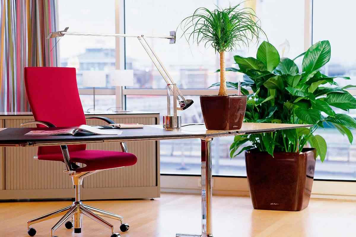  Buy and the Price of All Kinds of Office Reading Chair 