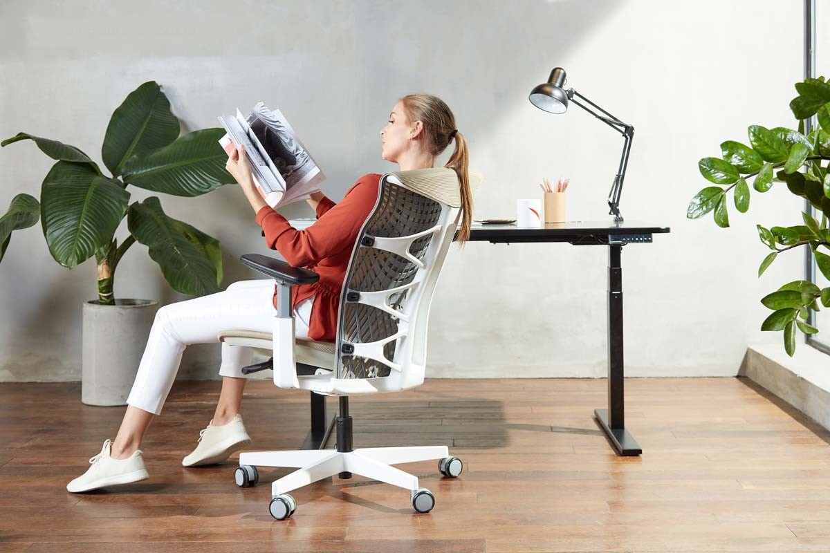  office ergonomic chair india at the best quality as possible 